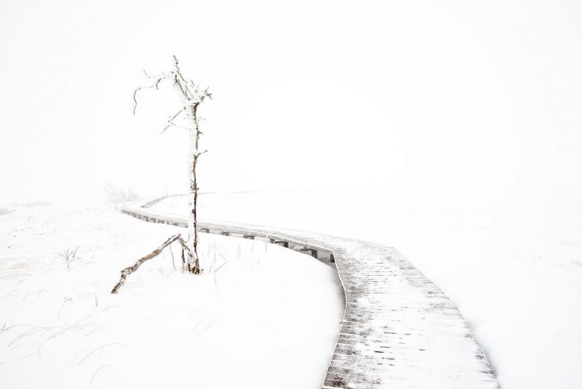 Andreas Helweg - Fotografie - Wintermorgen im Hohen Venn 2