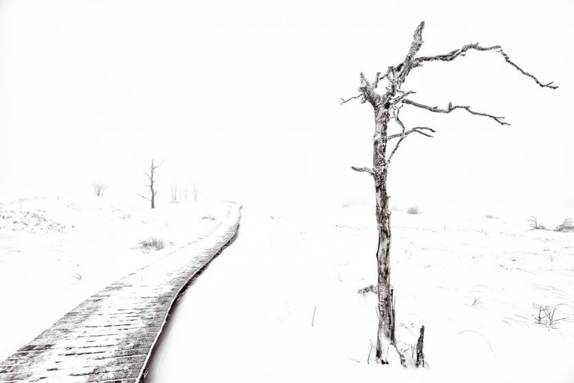 Andreas Helweg - Fotografie - Wintermorgen im Hohen Venn 3