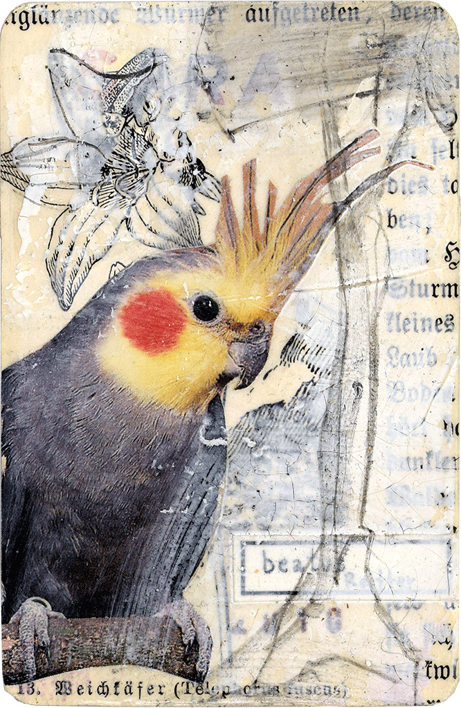 Iris Stephan - Kunstkreditkarte - 091.Vögel.iii.2006